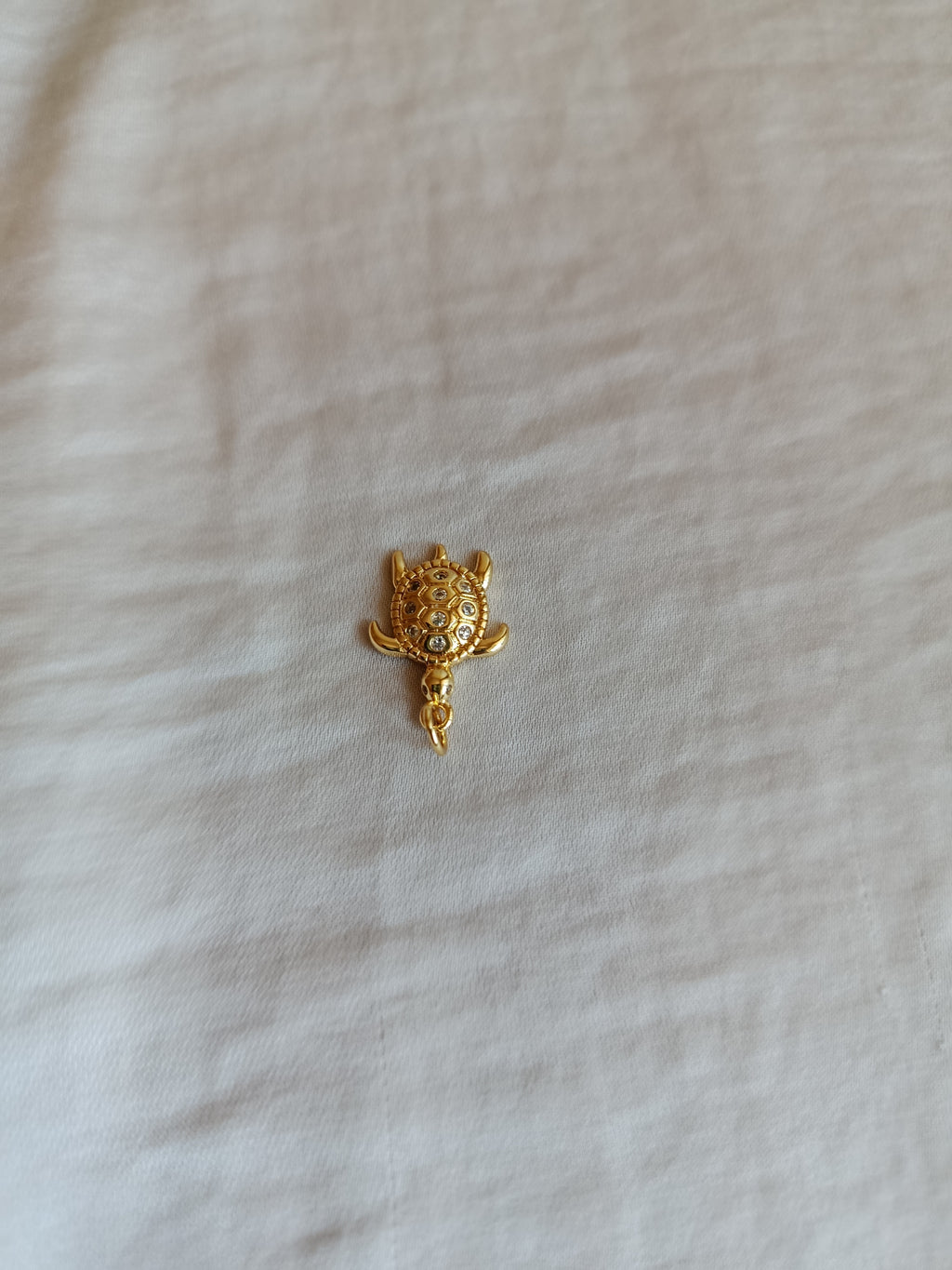 Tartarughina mini