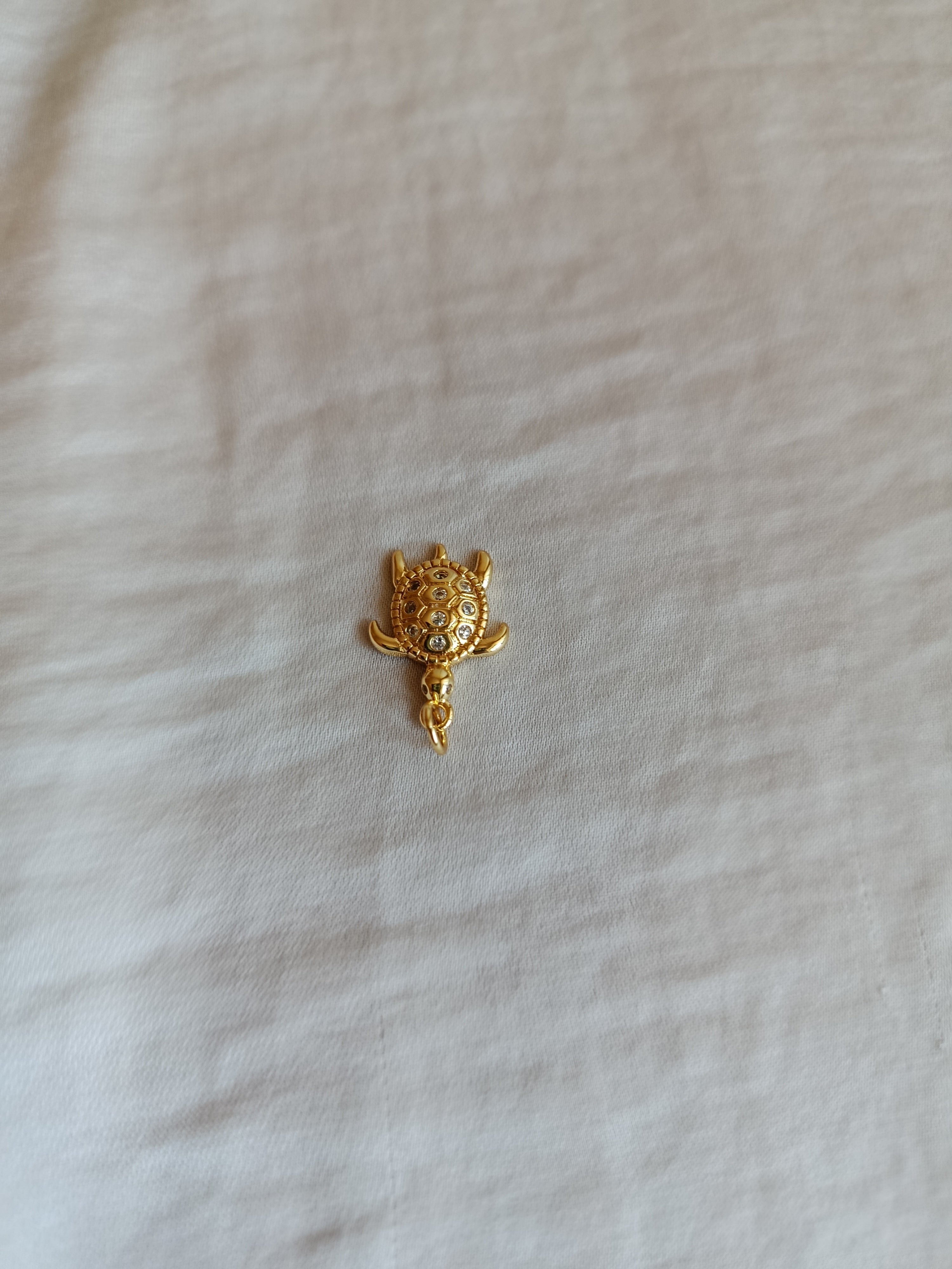 Tartarughina mini